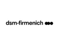dsm-200×143